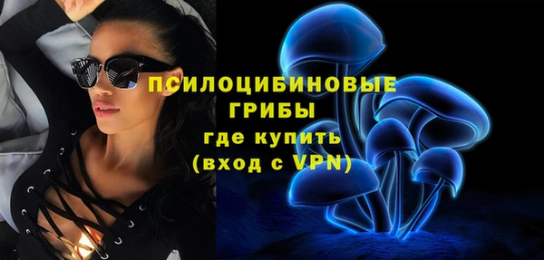 стафф Заволжск