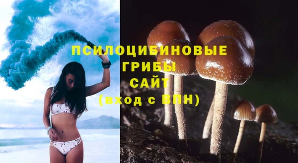 амф Заводоуковск