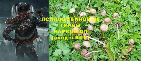 амф Заводоуковск
