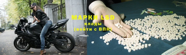 стафф Заволжск